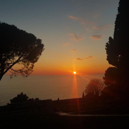 All My Loving Rovinj Bagian luar foto